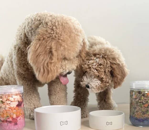 Two dogs eating fresh food from bowls