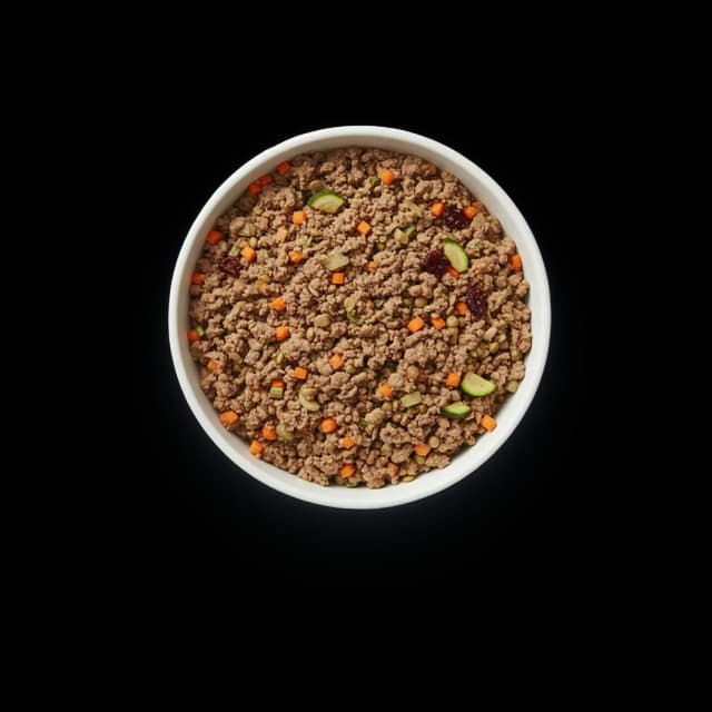 Dog food bowl for days 11 and beyond