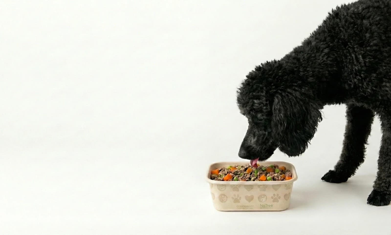 Happy dog enjoying fresh Kreation Pets food