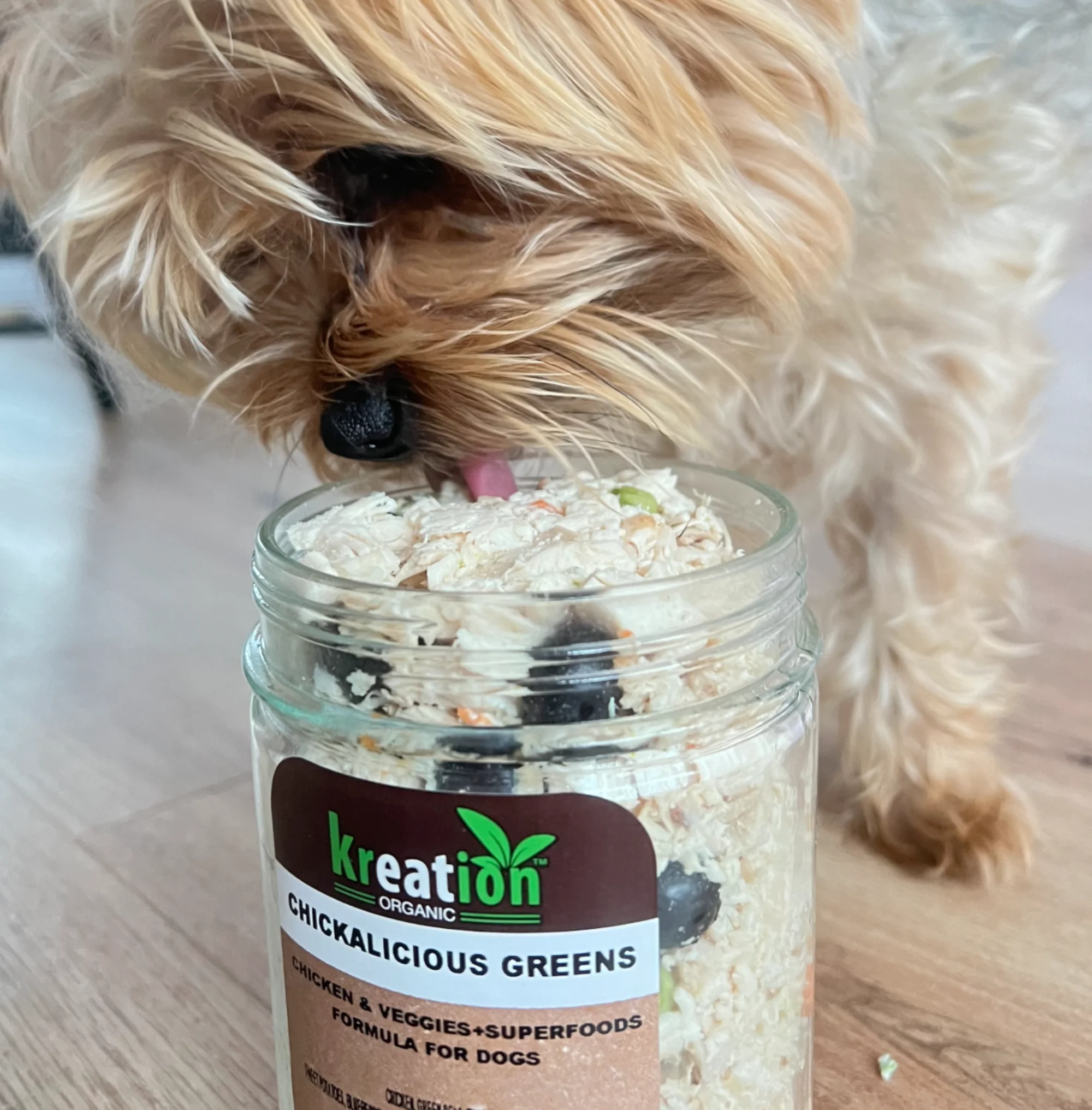 Dog eating from a Kreation Organic jar